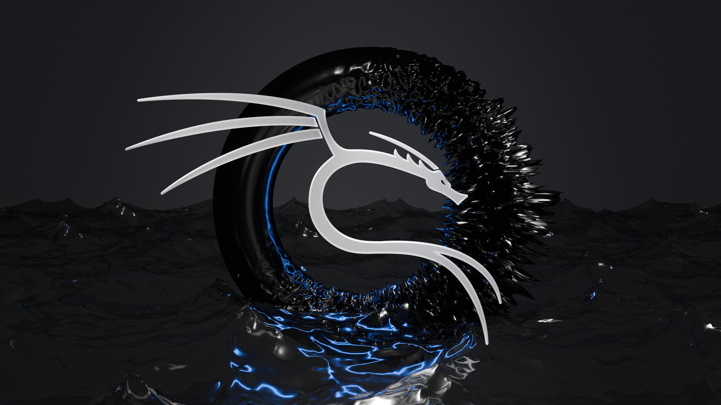 Clé USB bootable Beamo Kali Linux version 2025.2 pour démarrer, utiliser et installer Kali Linux