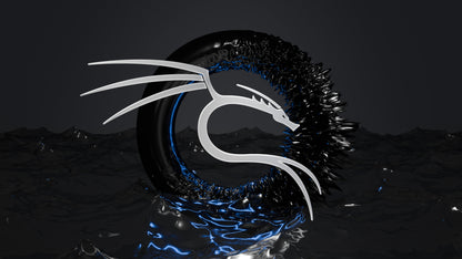 Clé USB bootable Beamo Kali Linux version 2025.2 pour démarrer, utiliser et installer Kali Linux